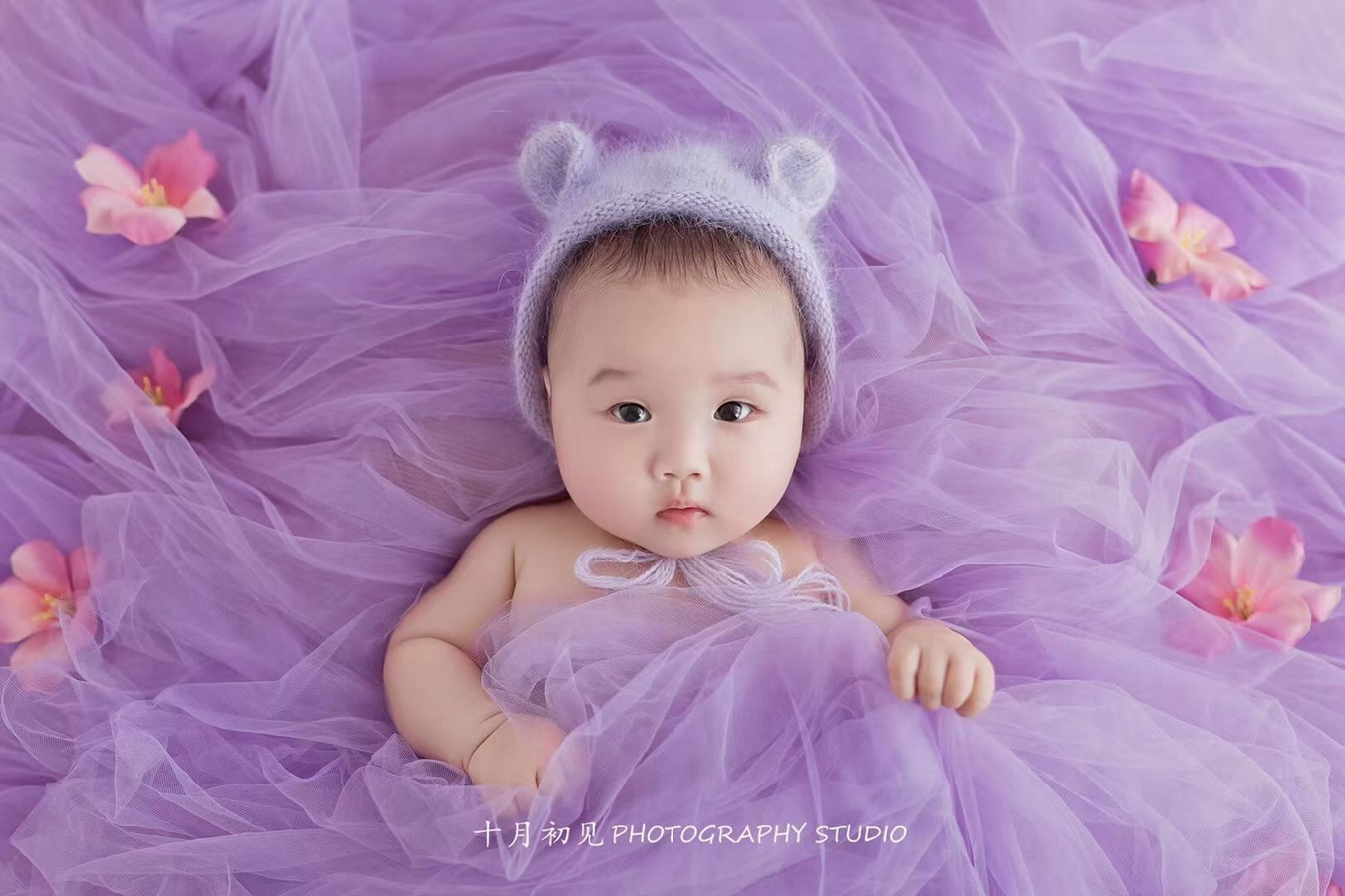 Photography Newborn - Newborn Photography Props Mesh Backdrop Tulle