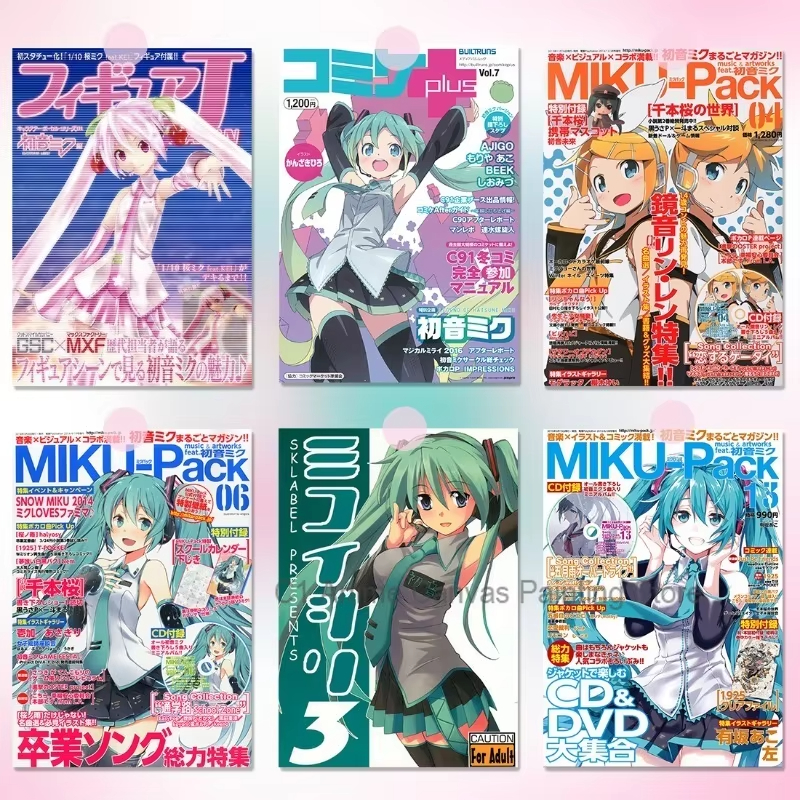 1pc frameless Hatsune Miku Ani – Photography Studio Bewertung und Preis