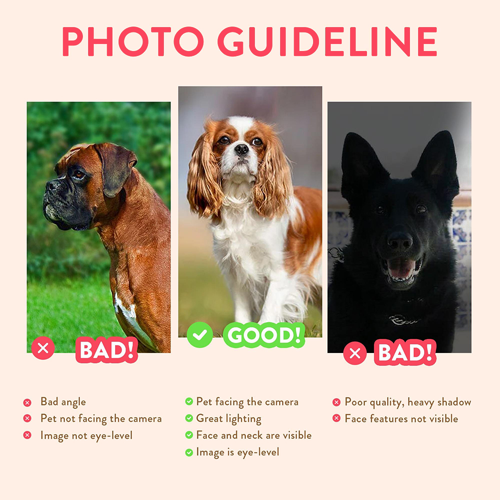 Personalized Pet Portraits Pho – Photography Poster Bewertung und Preis