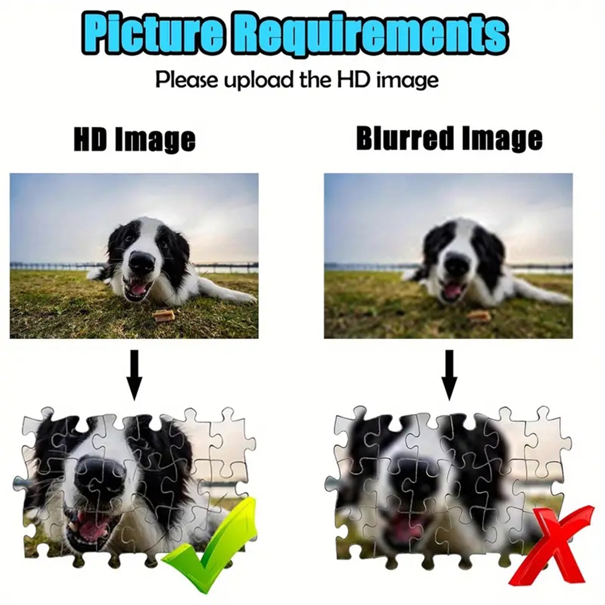 35/300/500/1000pcs Personalize – Photography Game Bewertung und Preis